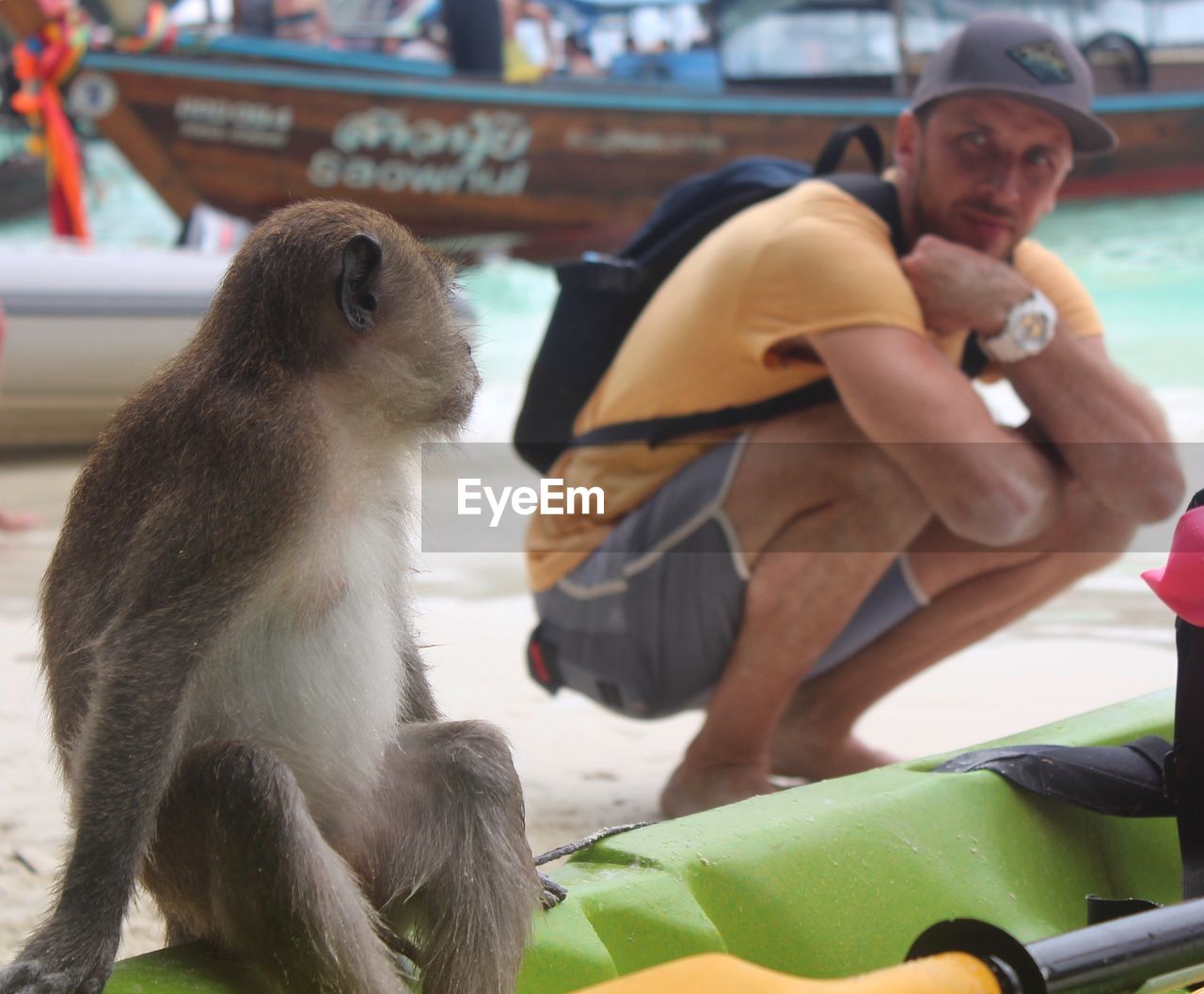 Backpacker crouching by monkey at beach