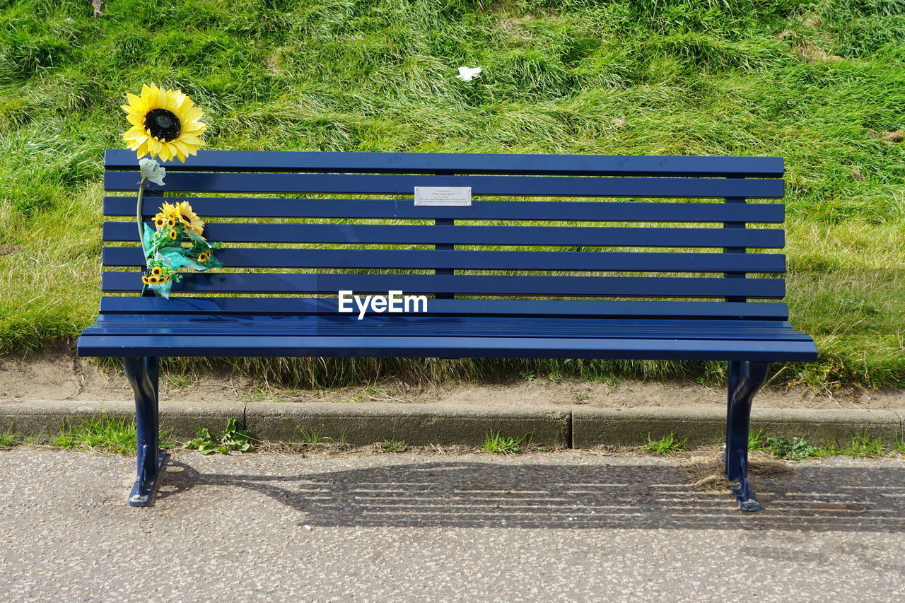 bench, furniture, seat, park bench, park, plant, nature, park - man made space, empty, day, green, outdoor furniture, grass, relaxation, land, no people, absence, outdoors, blue, growth, table, field, sunlight, tranquility, wood, beauty in nature