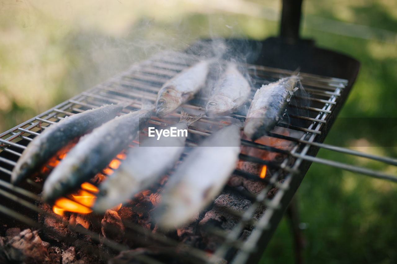 Close-up of fish on barbecue grill