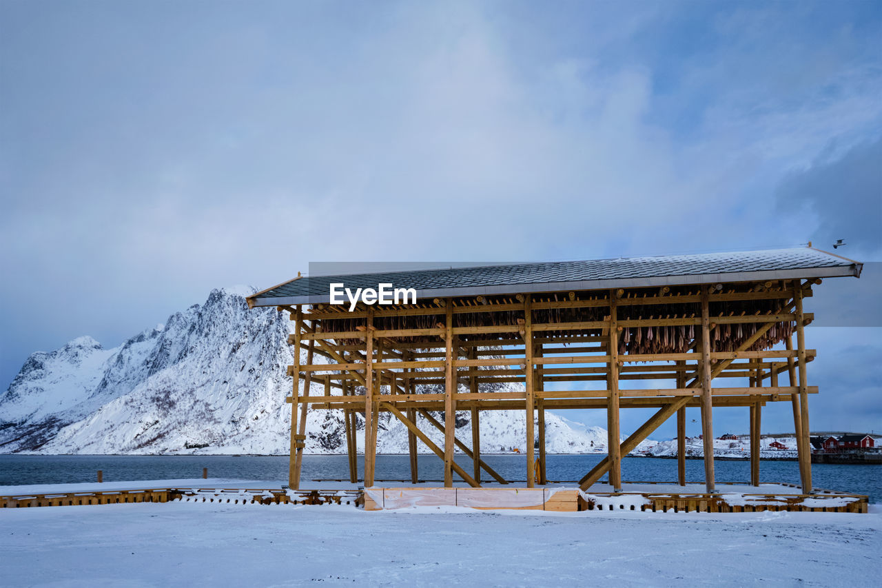 Drying flakes for stockfish cod fish in winter. lofoten islands, norway