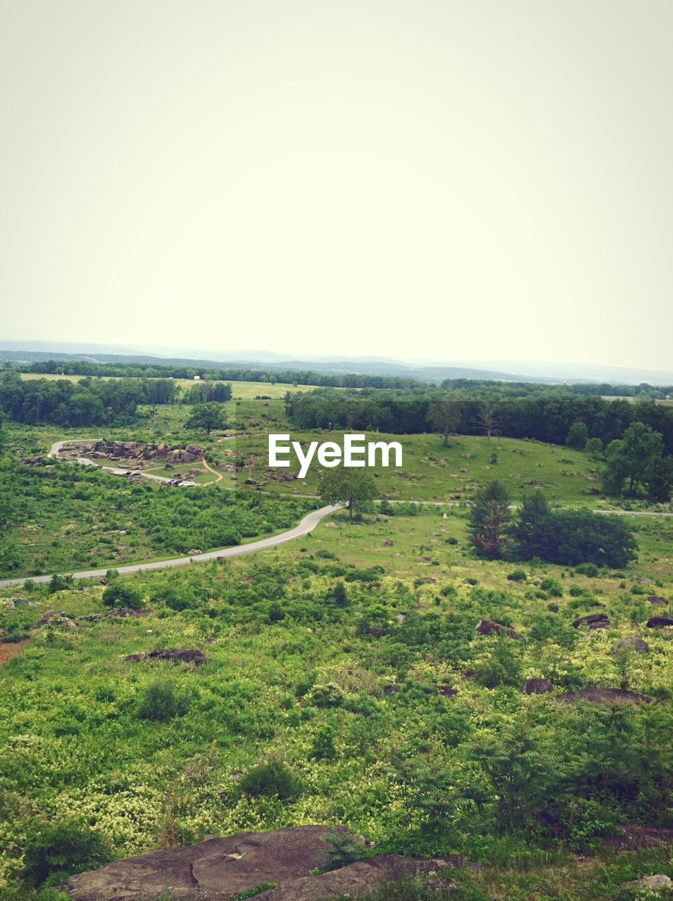 Scenic view of green landscape against clear sky