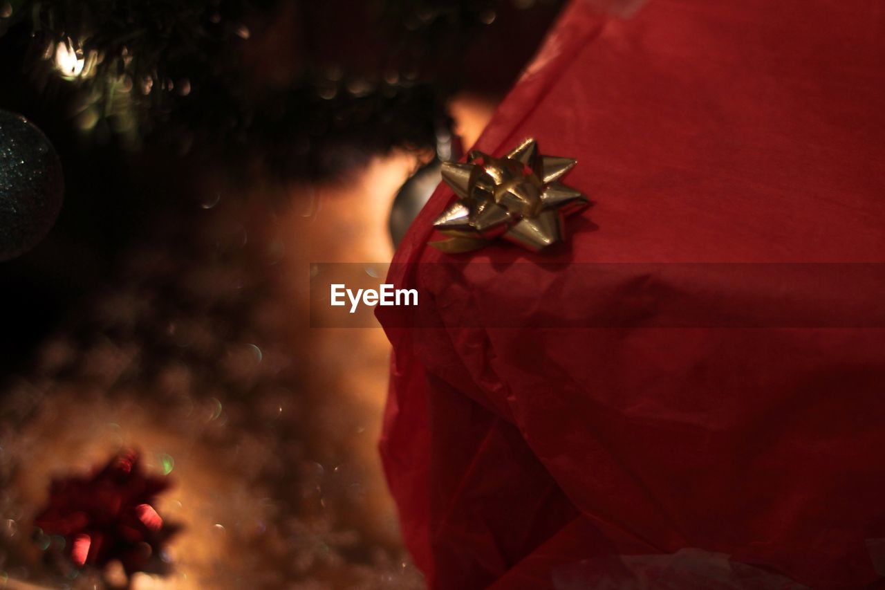 CLOSE-UP OF CHRISTMAS TREE WITH RED LEAVES