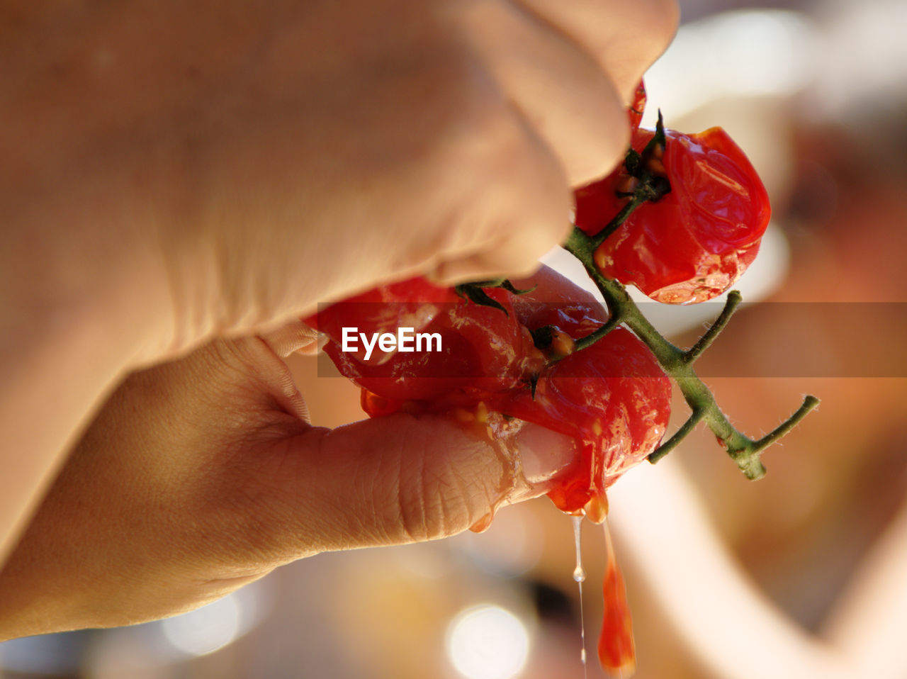 Cropped image of person squeezing juice from roasted cherry tomato