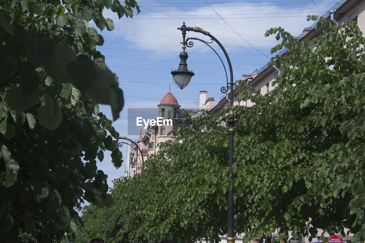 Low angle view of trees and building against sky