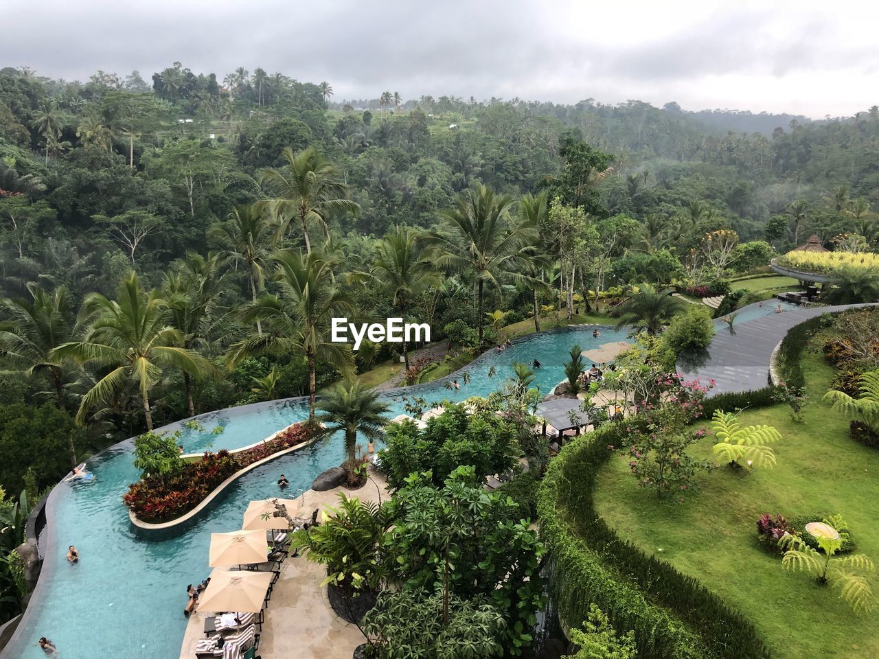 High angle view of palm trees on landscape against sky