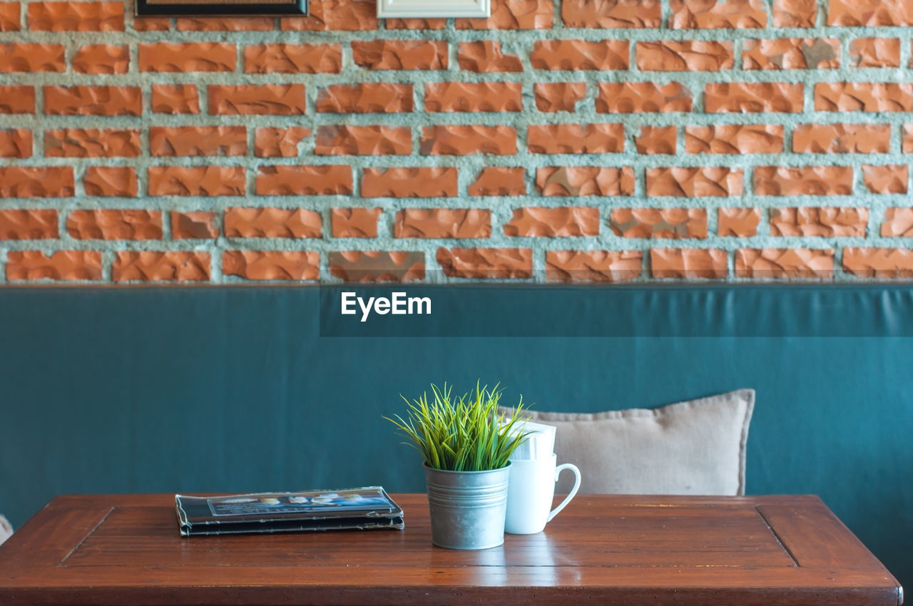 POTTED PLANT ON TABLE AGAINST WALL