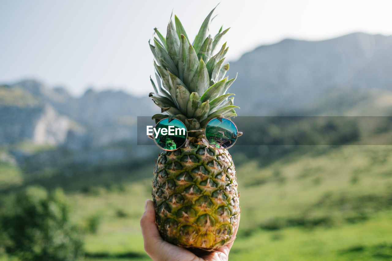 Cropped image of hand holding pineapple against mountains