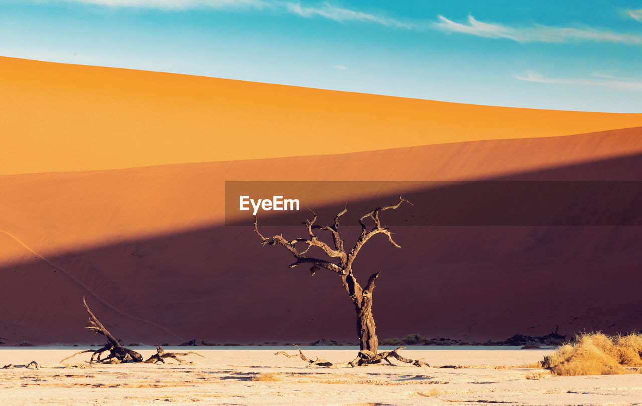 SCENIC VIEW OF DESERT AGAINST SKY