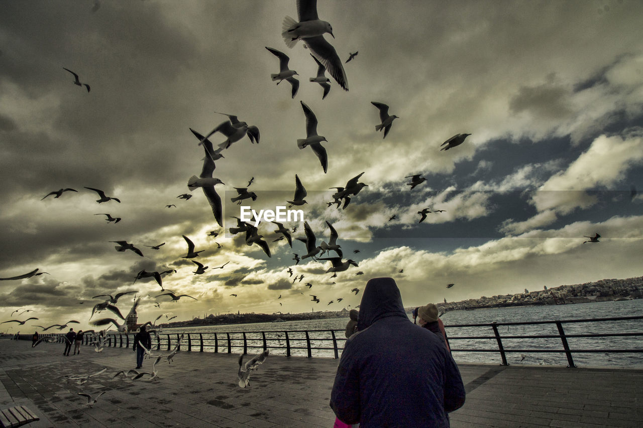 REAR VIEW OF SEAGULLS FLYING OVER LAKE