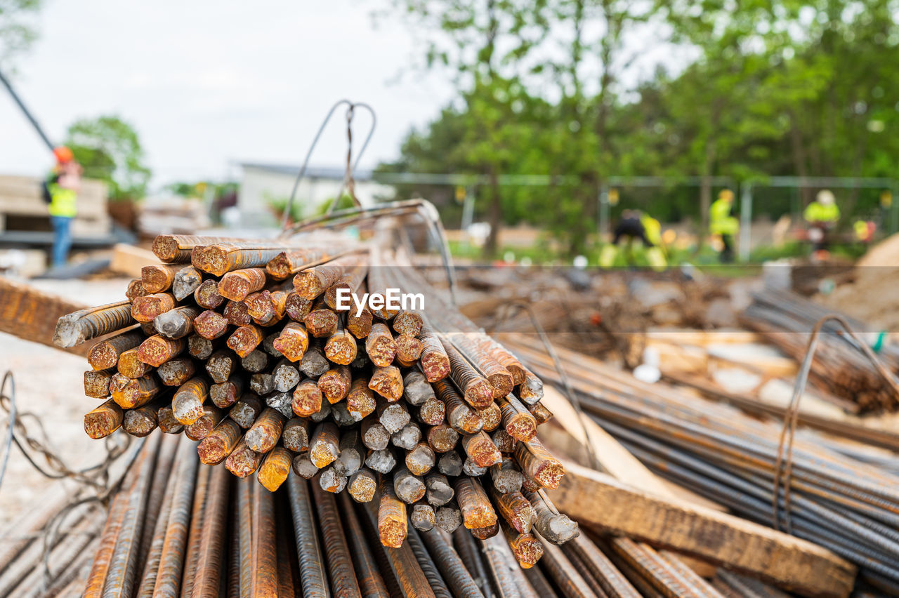tree, large group of objects, timber, wood, log, firewood, abundance, nature, forest, logging, lumber industry, environmental issues, plant, food and drink, deforestation, food, autumn, focus on foreground, outdoors, day, power generation, no people, heap, fossil fuel, business finance and industry, woodpile, environment