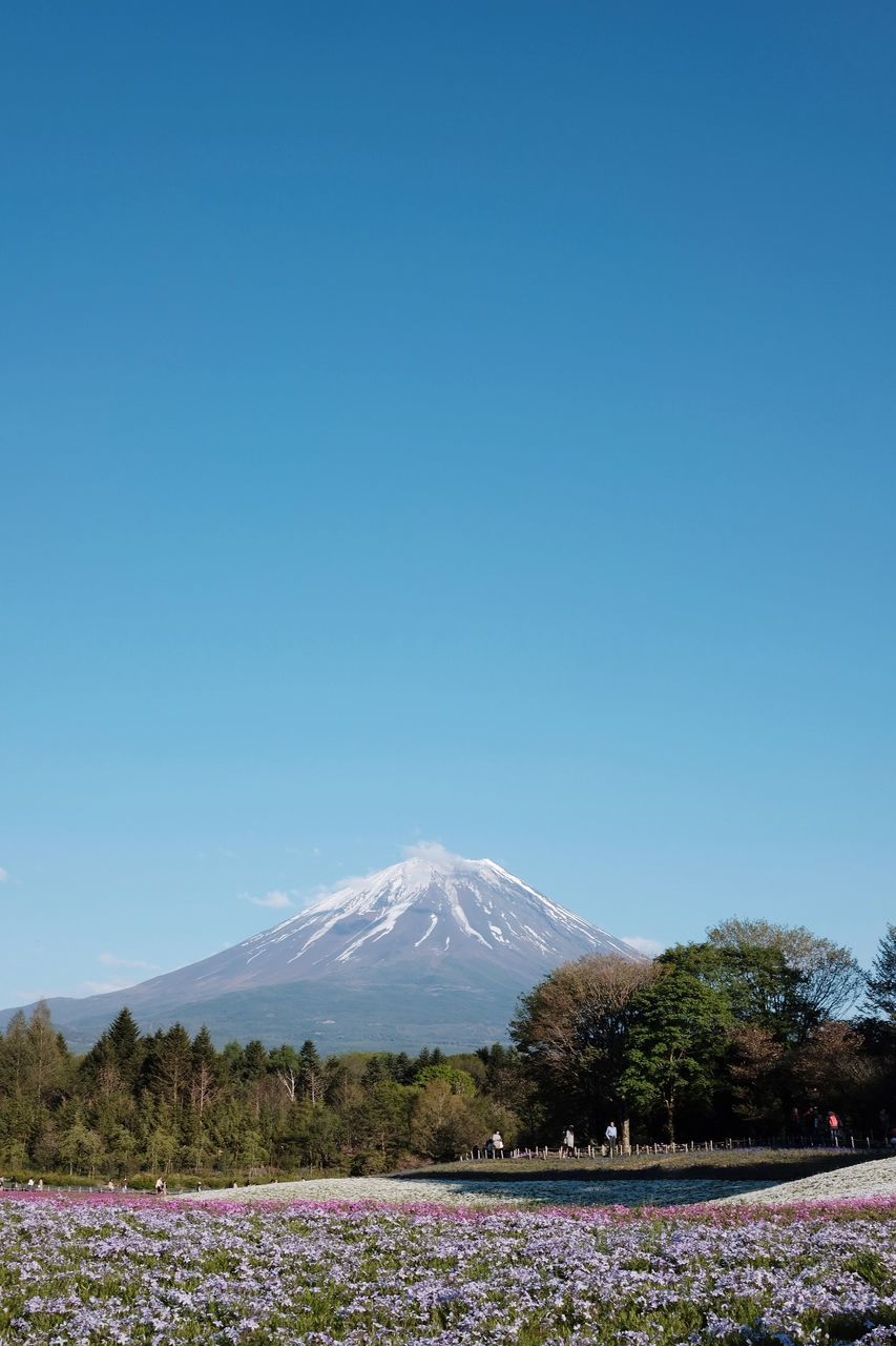 Scenic view of snowcapped mountains against clear blue sky