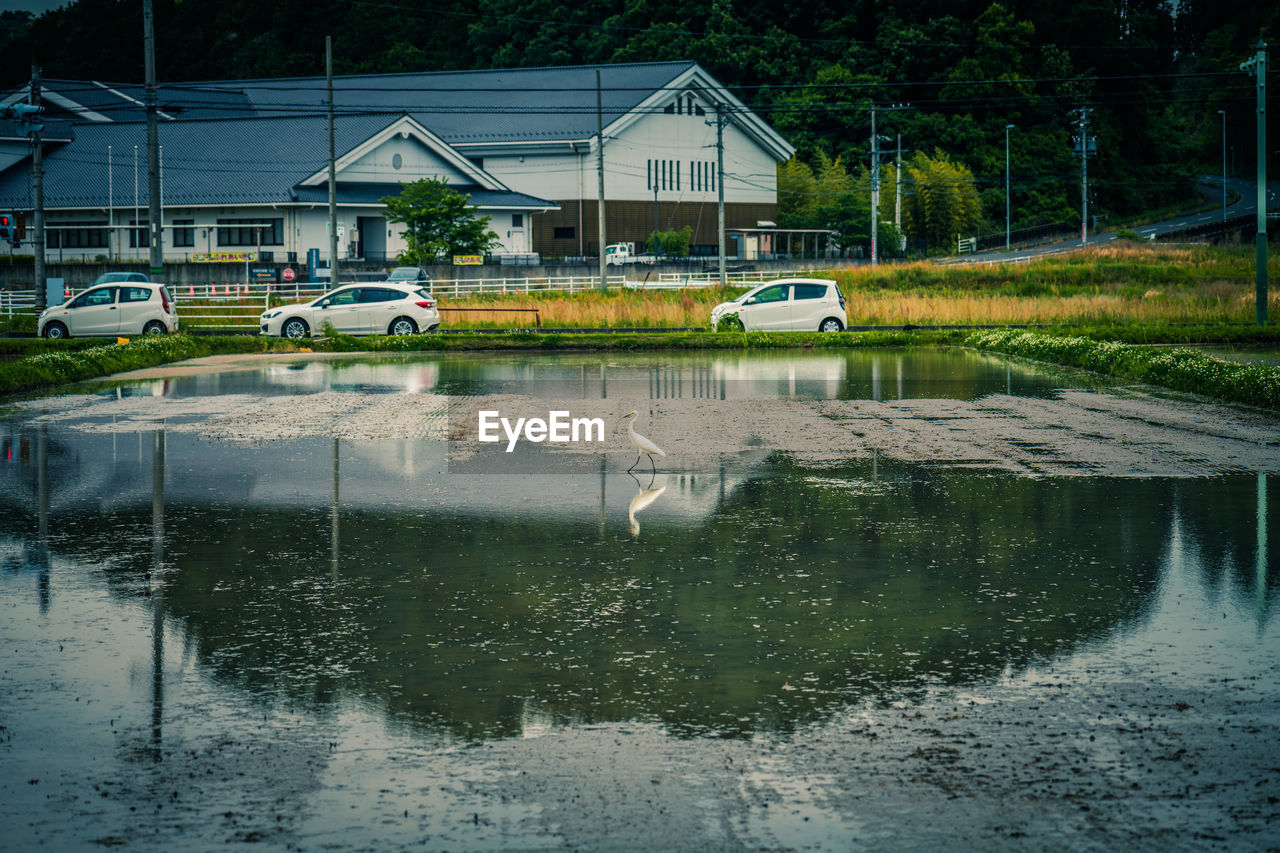 REFLECTION OF BUILDING IN WATER ON STREET