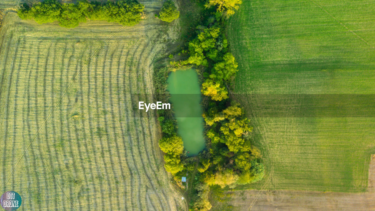 SCENIC VIEW OF AGRICULTURAL LAND