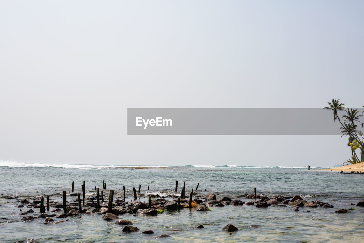 A view of a fisherman and palm trees on the south coast of sri lanka.