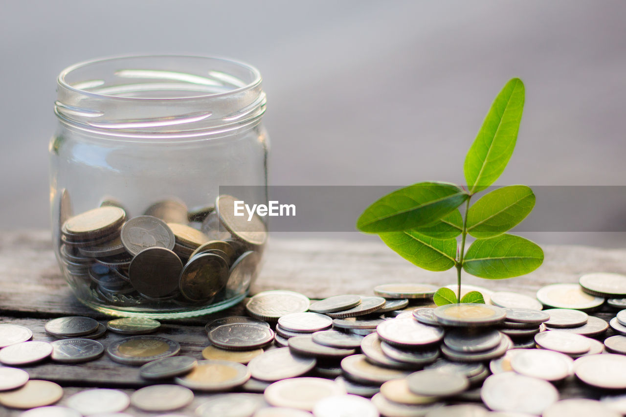 CLOSE-UP OF COINS IN GLASS JAR ON PLANT