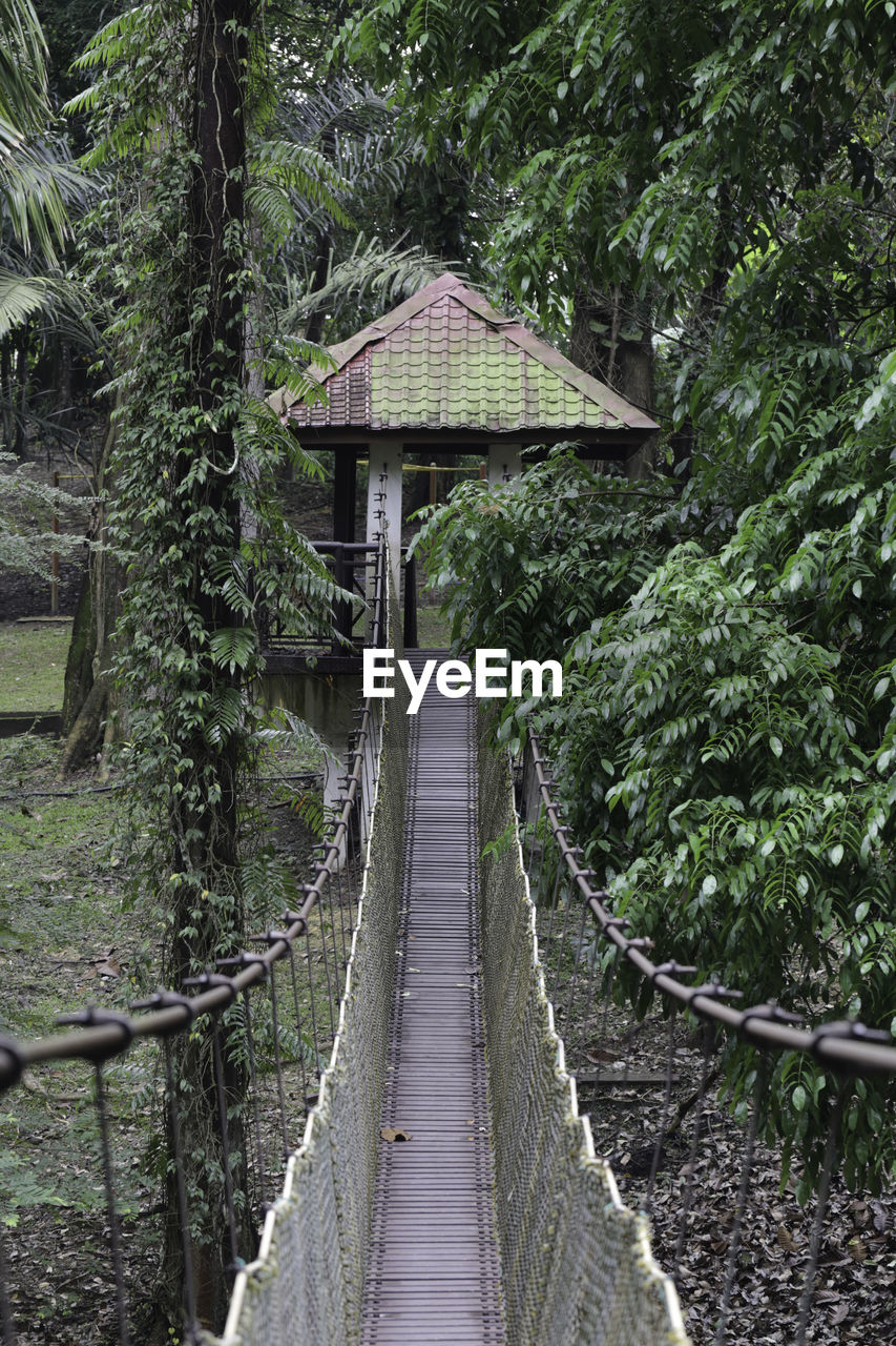 Hanging bridge in the garden vertical view