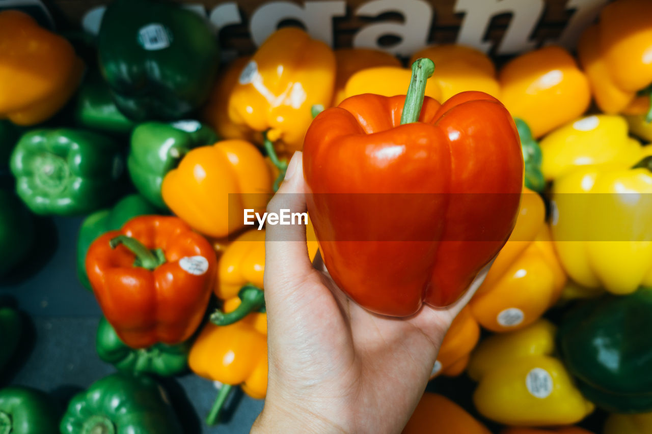 Close-up of woman holding bell peppers