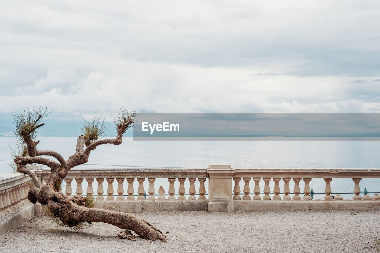 Driftwood on beach by sea against sky