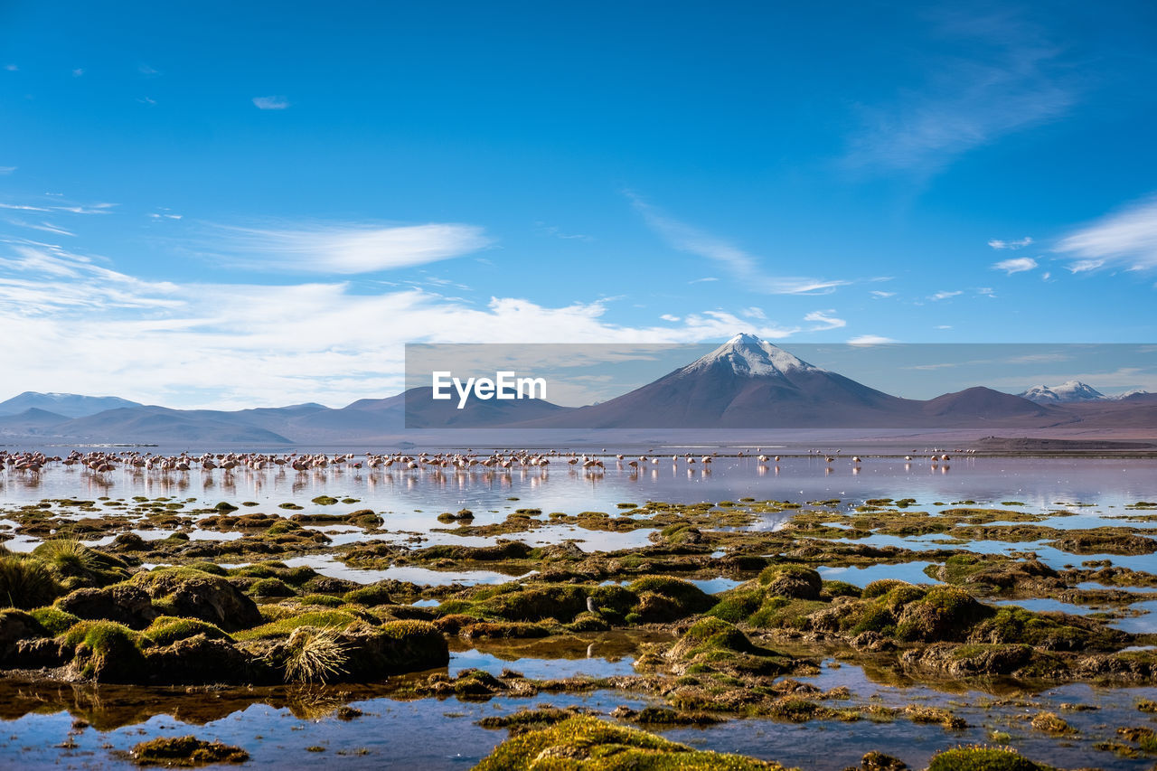 SCENIC VIEW OF SNOWCAPPED MOUNTAIN AGAINST SKY