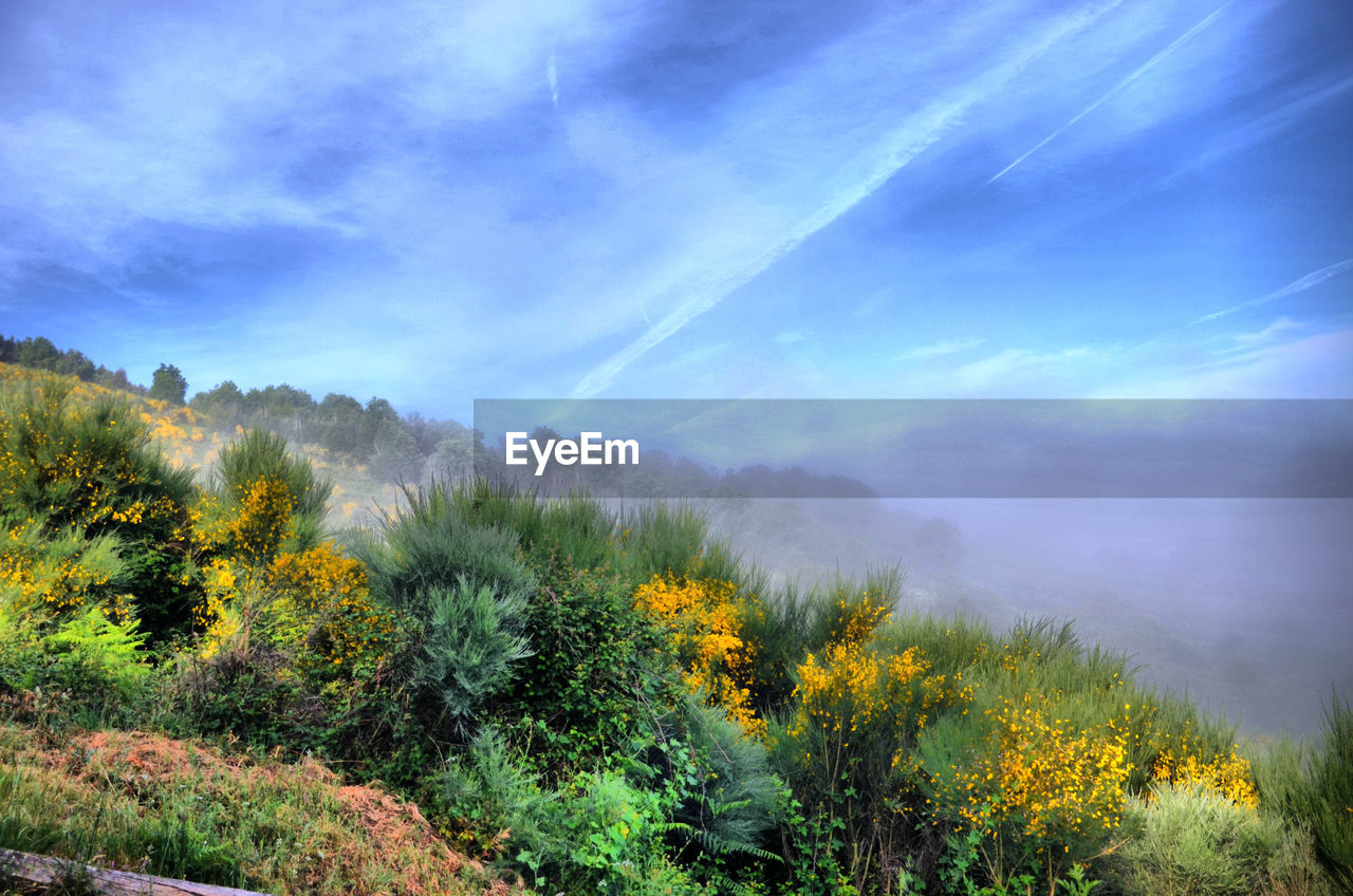 Scenic view of mountain against cloudy sky