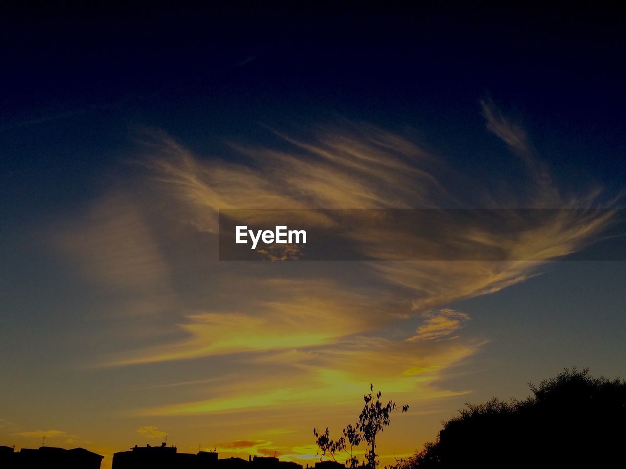 SILHOUETTE OF TREES AT SUNSET