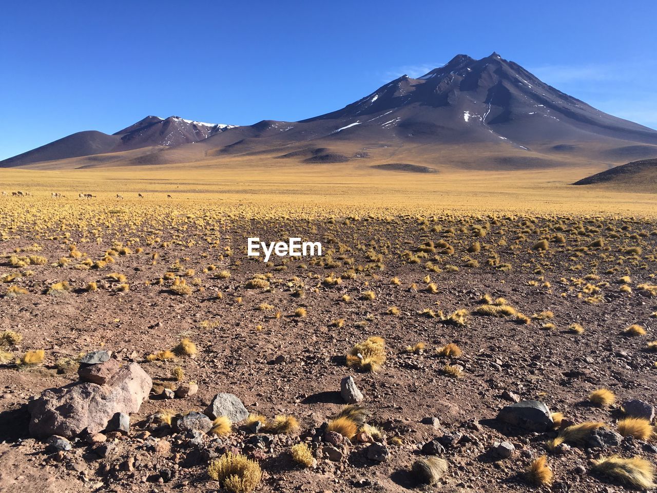 Scenic view of desert against clear sky