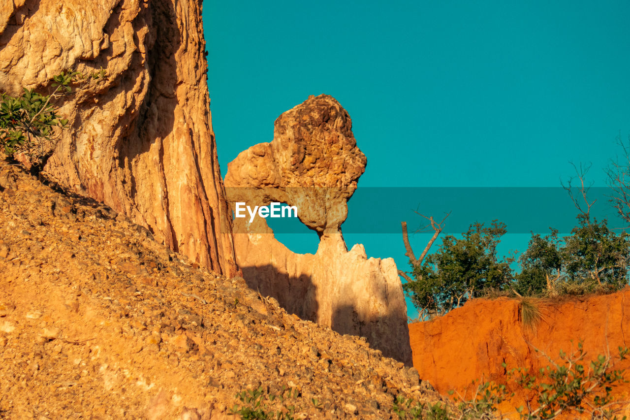 rock, nature, rock formation, tree, plant, no people, soil, sky, terrain, scenics - nature, land, landscape, environment, geology, travel destinations, formation, beauty in nature, non-urban scene, wilderness, travel, desert, outdoors, day, blue, cliff, sunlight, clear sky, tranquility, physical geography, animal wildlife, semi-arid, mountain, animal, extreme terrain, canyon, sunny