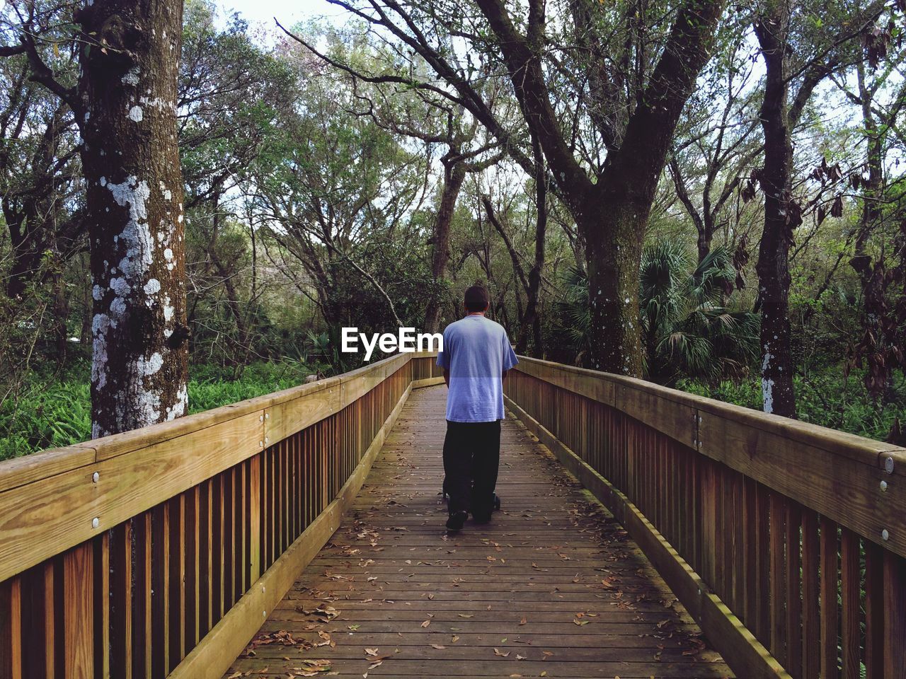 Rear view of man with stroller amidst trees on boardwalk