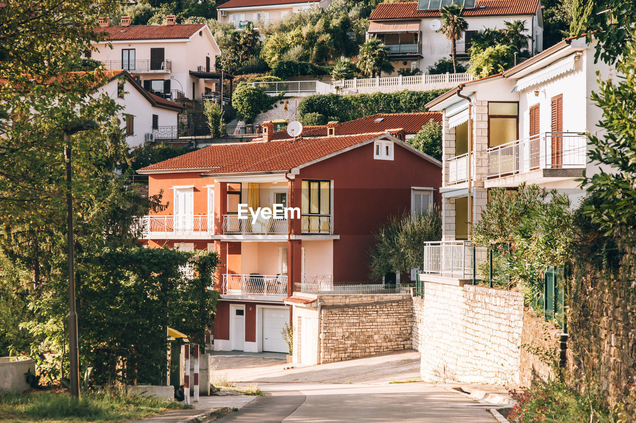 Trees and houses in town