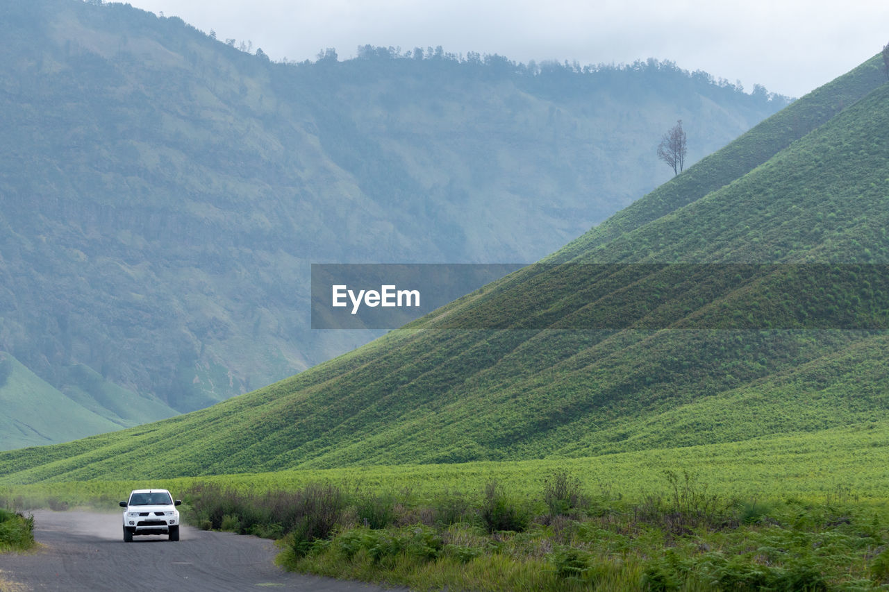 scenic view of landscape against mountain