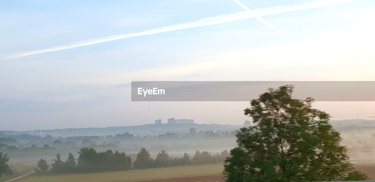 SCENIC VIEW OF TREES AGAINST SKY