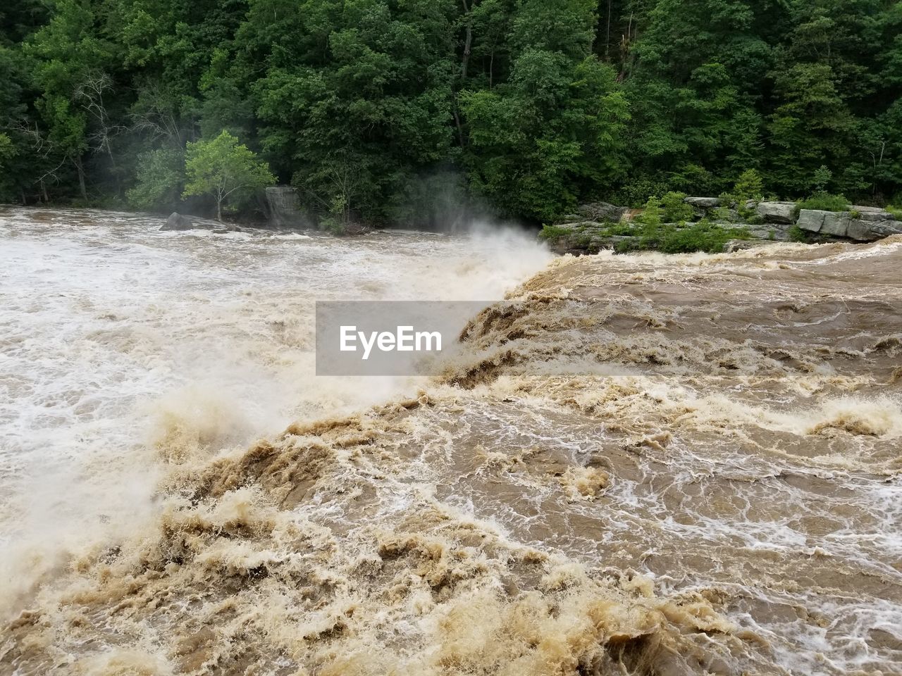 Scenic view of waterfall in ohiopyle 