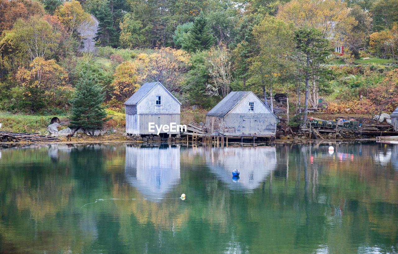 REFLECTION OF TREES AND BUILDING IN LAKE