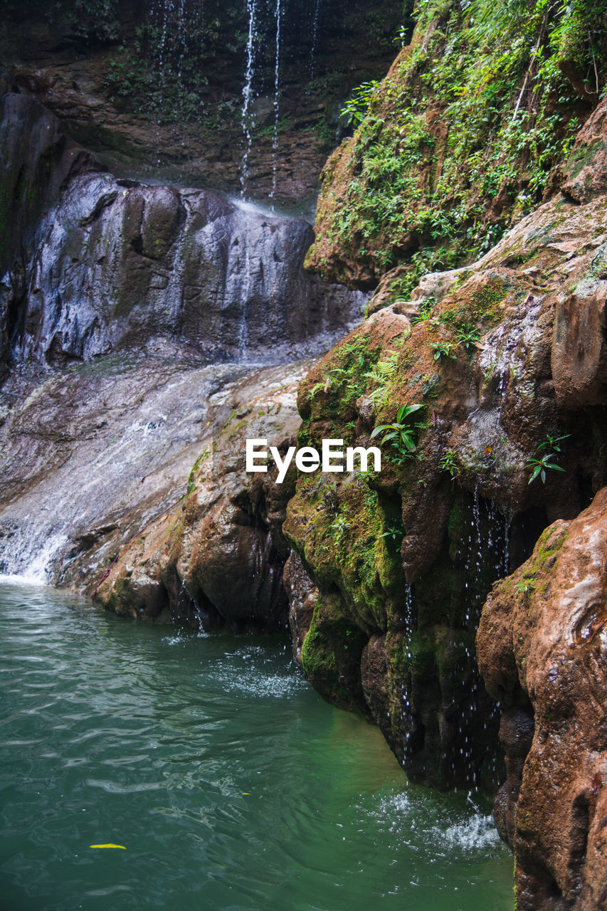 Scenic view of waterfall in forest