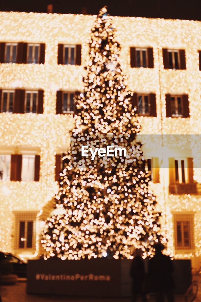 LOW ANGLE VIEW OF CHRISTMAS TREE WITH BUILDING