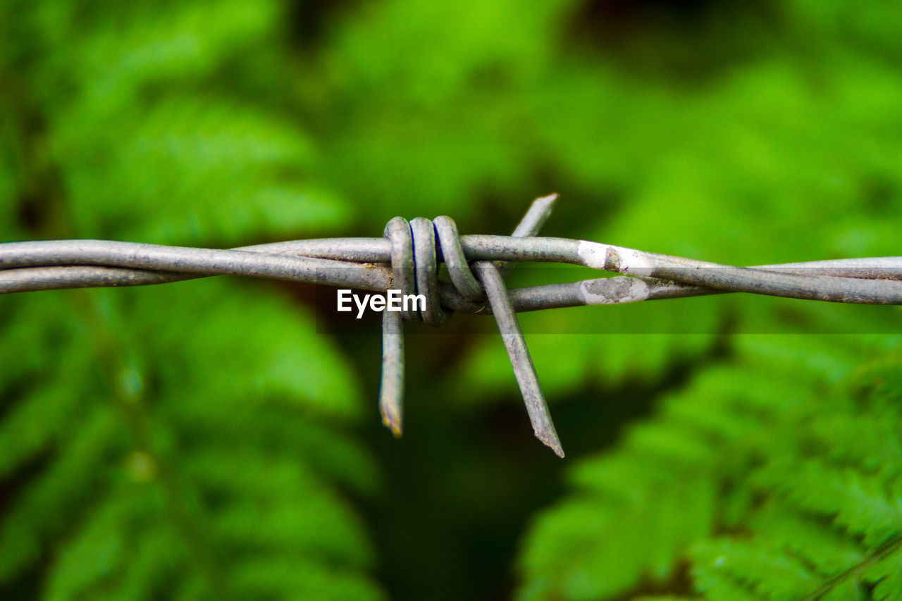 Close-up of barbed wire on fence