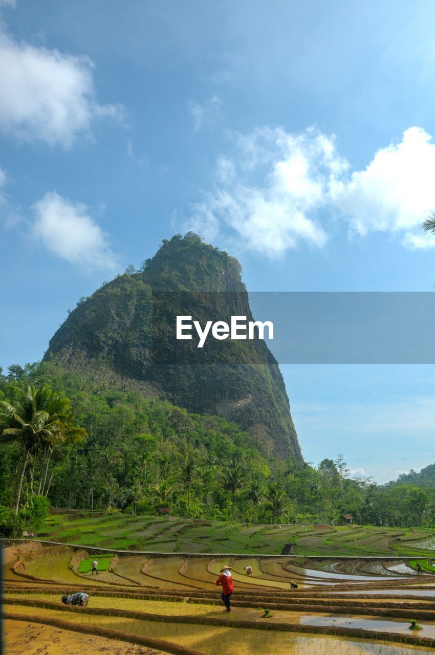 Scenic view of landscape against sky