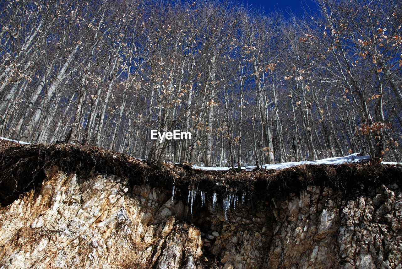 LOW ANGLE VIEW OF ICICLES ON ROCKS