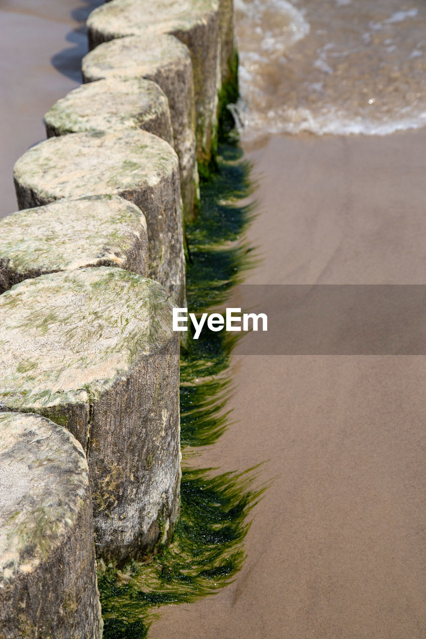 High angle view of moss on beach