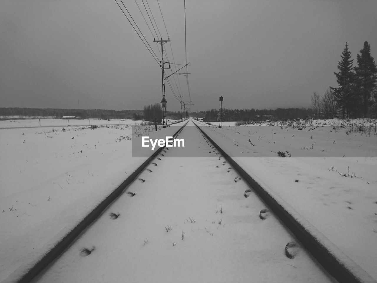 SCENIC VIEW OF SNOW COVERED LANDSCAPE