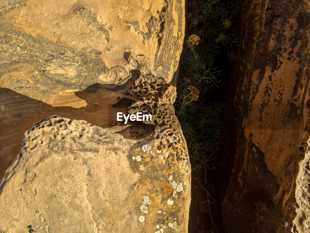 Detailed shot of rock formation