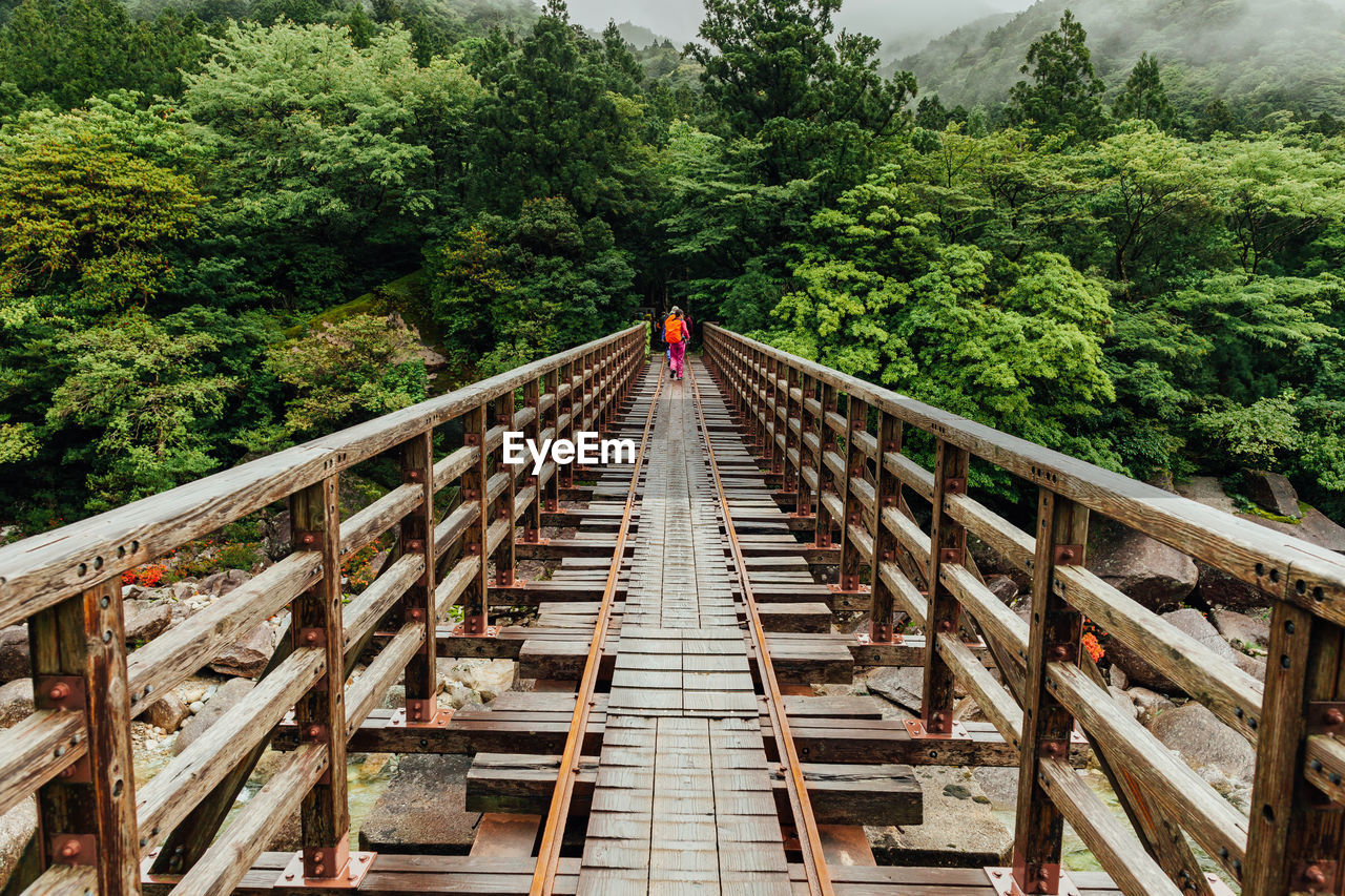 tree, plant, bridge, architecture, built structure, forest, nature, the way forward, footbridge, wood, track, railing, day, transportation, rolling stock, growth, green, outdoors, land, transport, one person, beauty in nature, travel, scenics - nature, non-urban scene, suspension bridge, travel destinations, mountain, diminishing perspective, leisure activity, sky, tranquility, men, tranquil scene, rope bridge, full length