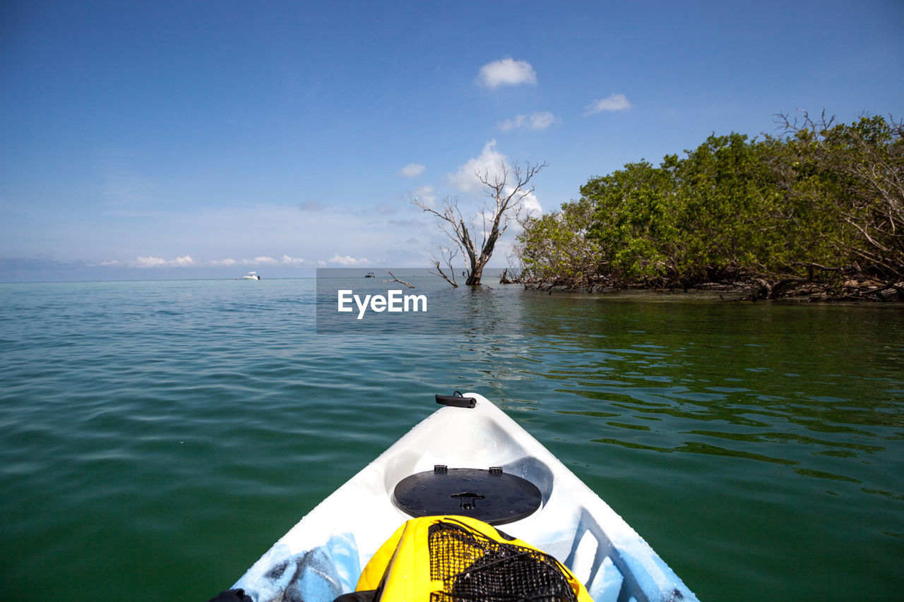 Kayak in the old hickory pass waterway of in bonita springs, florida in summer.