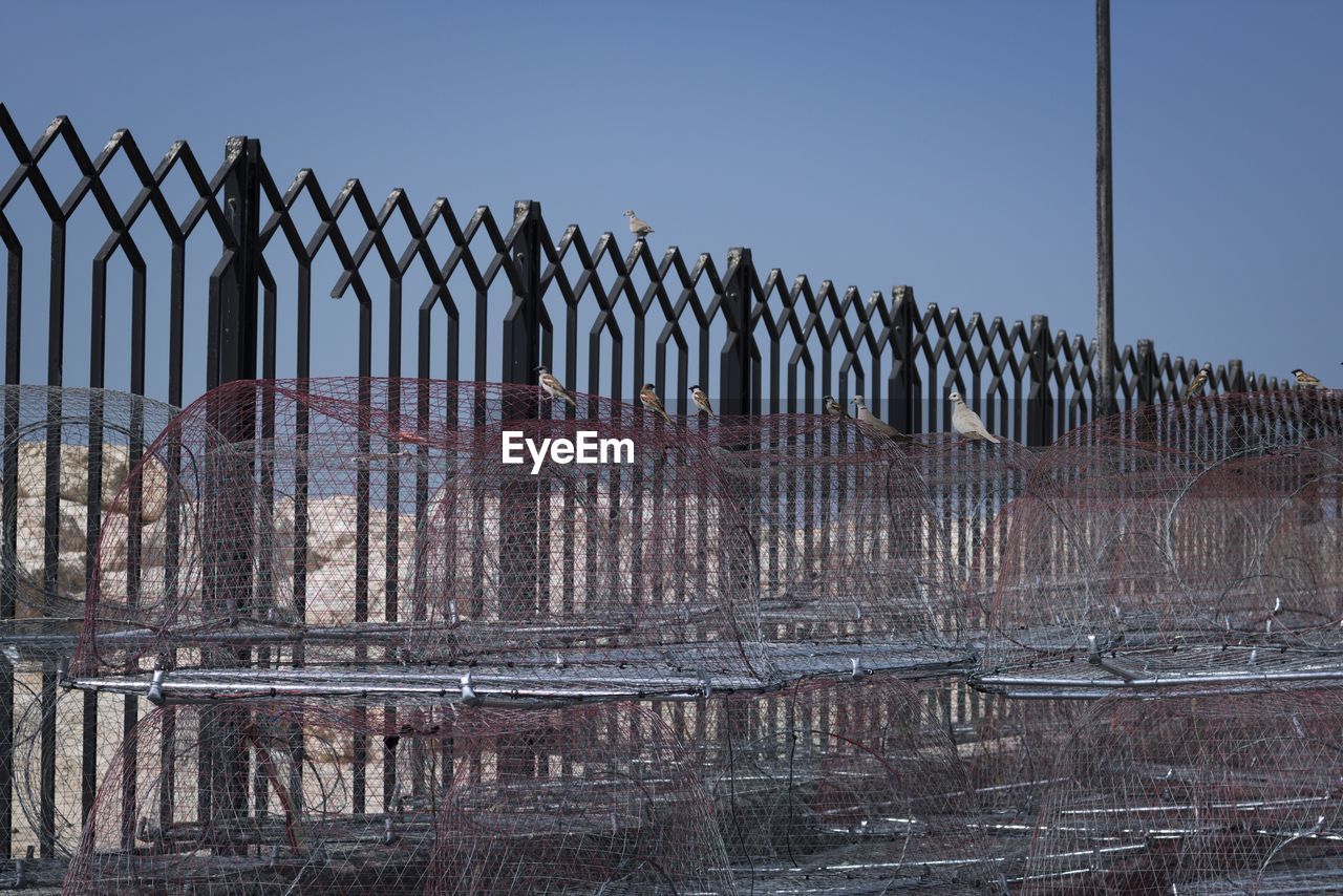 FENCE AGAINST SKY