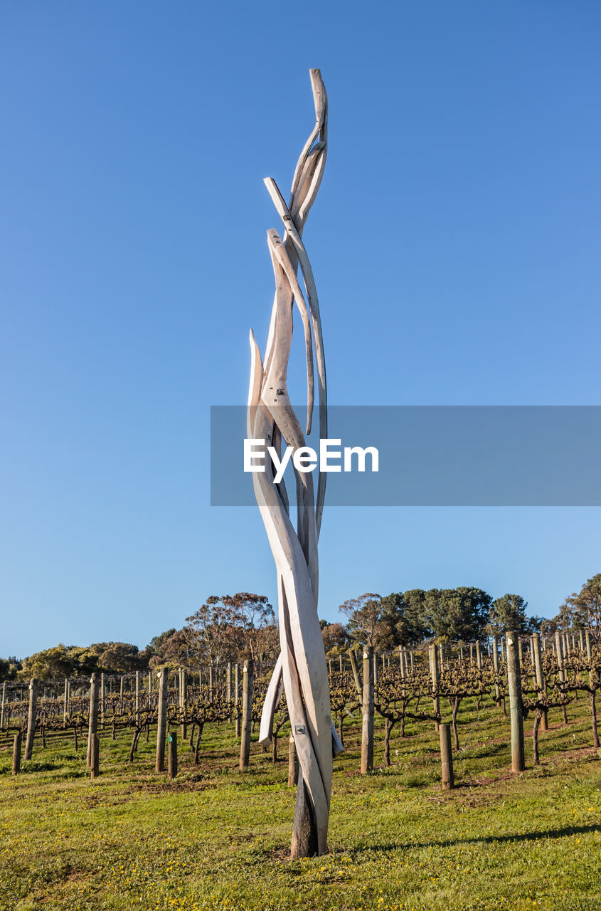 VIEW OF TREES ON FIELD AGAINST CLEAR SKY