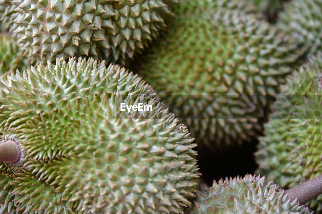 Full frame shot of durians for sale in market