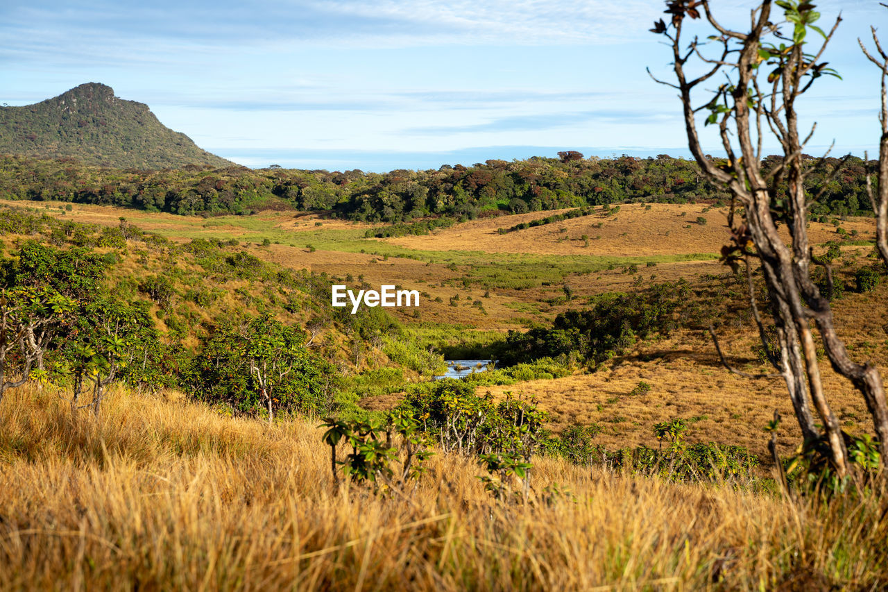 Horton plains / world's end