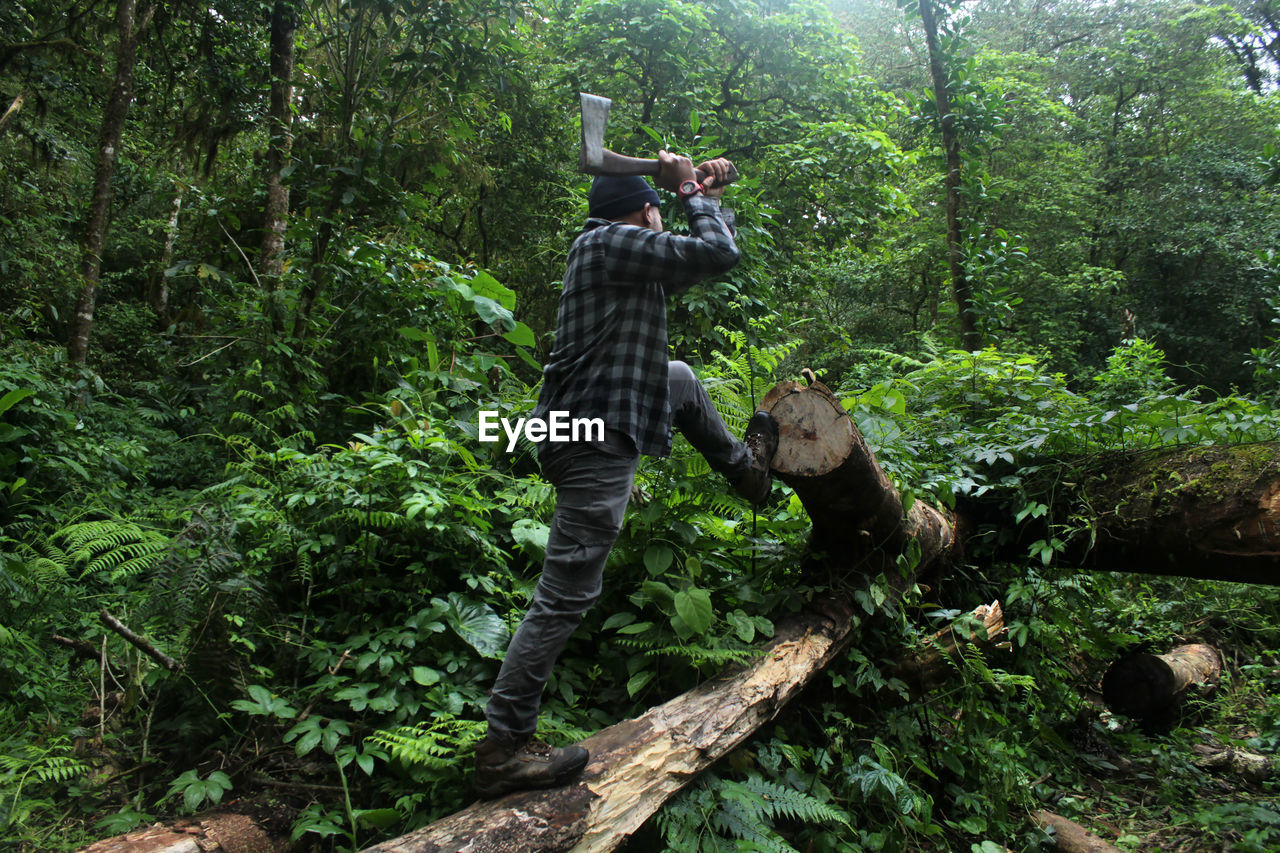 Man at work with axe in the woods.