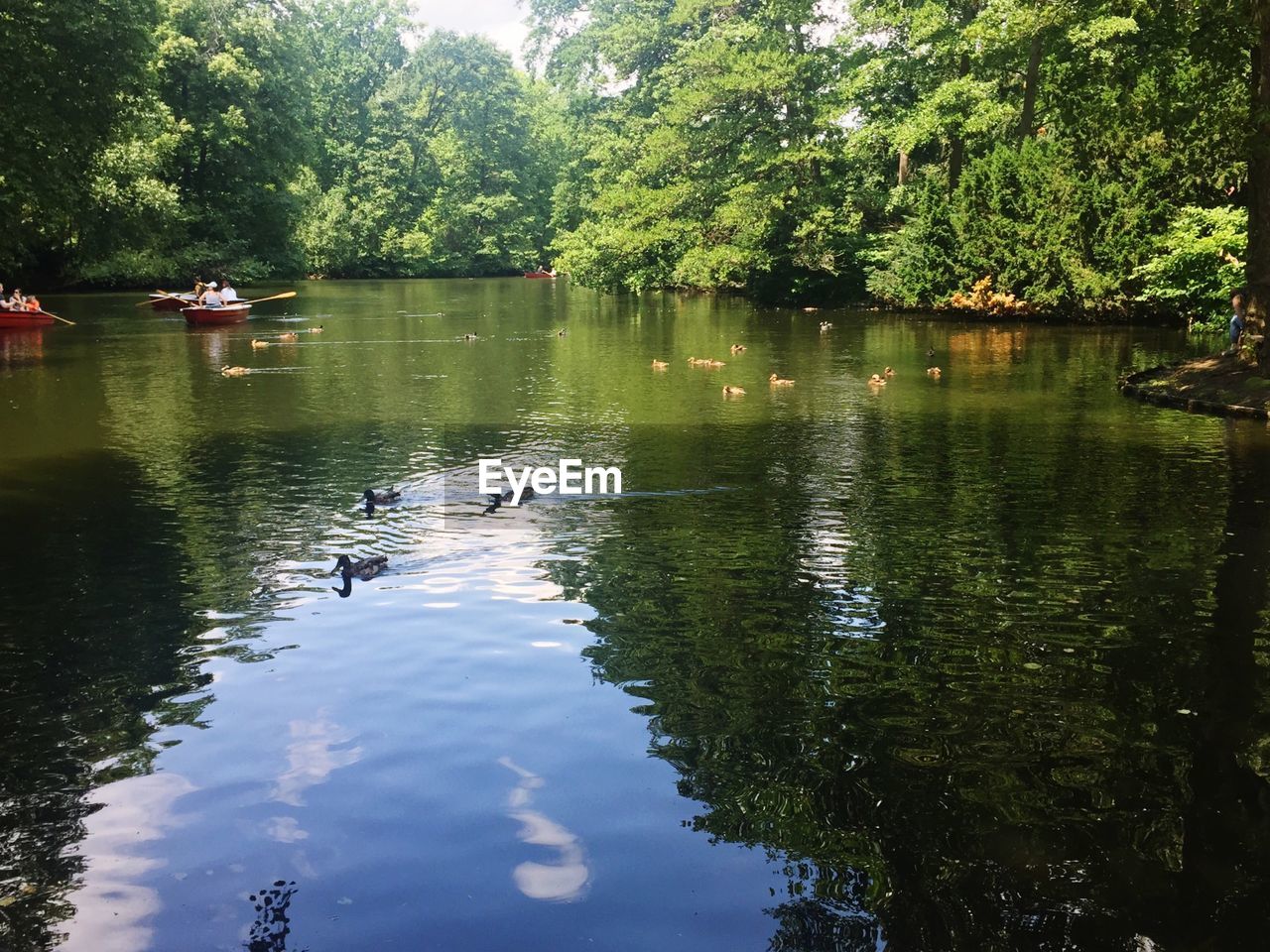 SCENIC VIEW OF LAKE WITH TREES