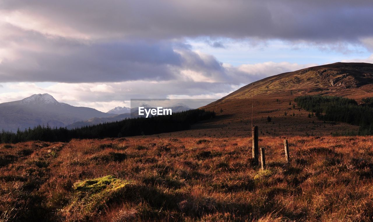 Scenic view of landscape against cloudy sky